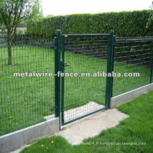 Porte de clôture en fer